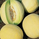 100 SEEDS Honeydew Melon Dulce (Sweet exotic fruit seed)