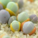 100 SEEDS Gibbaeum Comptonii (Exotic succulent rare ice living rocks mesembs seed)