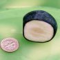 30 SEED COCOPLUM FRUIT Chrysobalanus Icaco Rare (Sweet exotic tropical plum seed)