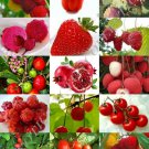 15 SEEDS RED FRUITS MIX (Rare organic edible COLORFUL fruit "healthy heart" seed) 15 SEEDS RED FRUITS MIX (Rare organic edible COLORFUL fruit "healthy heart" seed)
