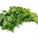 100 SEEDS CORIANDER Herb (Coriandrum sativum recao cilantro latin cuisine spice)