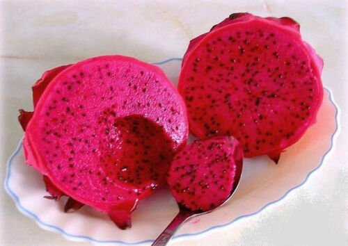 50 Seeds Dragon Fruit RED Pitaya (Exotic plant cactus hilocereus undatus seed)