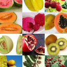 100 SEEDS EXOTIC TROPICAL FRUITS MIX (Sweet edible plant tree fragrant fruit seed) 100 SEEDS EXOTIC TROPICAL FRUITS MIX (Sweet edible plant tree fragrant fruit seed)