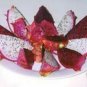 4" Pot Dragon Fruitpitaya (Exotic cactus collection cacti edible good eat plant)