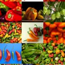 200 Seeds PEPPERS MIX (Edible mexican fruits exotic mixed hot pepper spicy seed) 200 Seeds PEPPERS MIX (Edible mexican fruits exotic mixed hot pepper spicy seed)