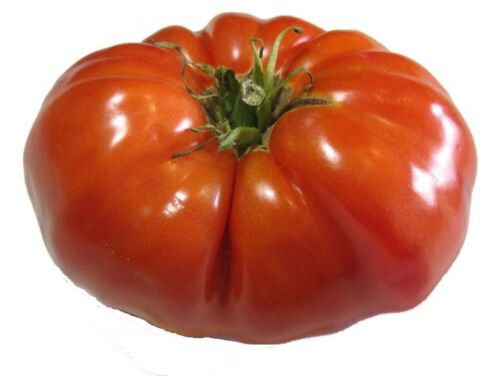 5000 Seeds Tomato Seeds, Red Brandywine, Heirloom Non-Gmo Tomatoes, Slicers edlcy (1/2 oz Seeds)