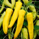 100 Seeds Banana Pepper Seeds, Sweet Peppers, Yellow Pepper Seeds, Heirloom Peppers edlcy (Seeds)