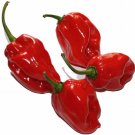 50 Seeds Red Habanero Seeds, Habanero Pepper Seeds, Heirloom Hot Peppers, Non-Gmo edlcy (Seeds)
