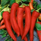 100 Seeds Anaheim Pepper Seeds, Heirloom Hot Pepper Seeds, Chili Peppers, Non-Gmo edlcy (Seeds)