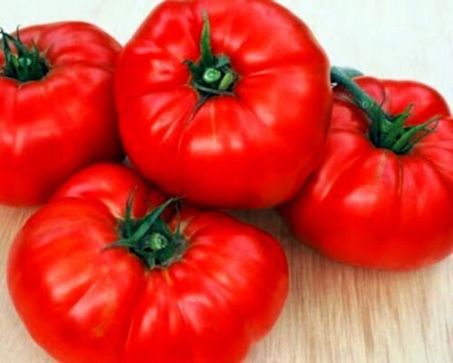 5000 Seeds Tomato Seeds, Beefsteak, Heirloom Non-Gmo Tomatoes, Big Slicers edlcy (1/2 oz Seeds)