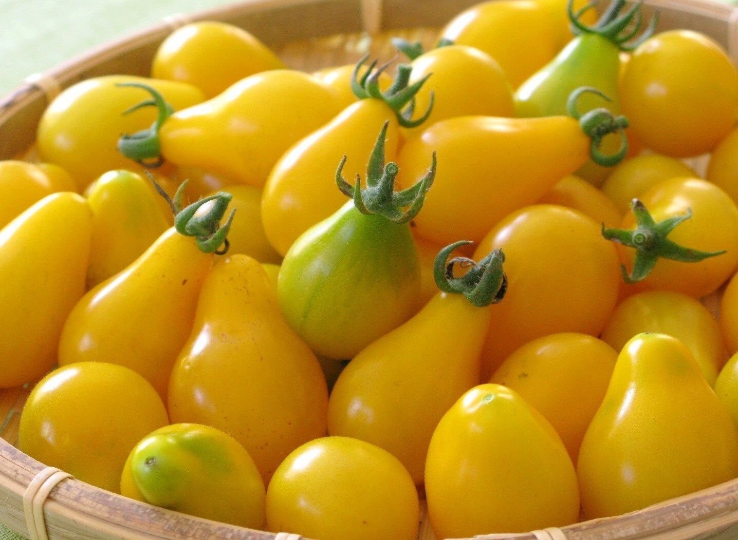 5000 Seeds Tomato Seeds, Yellow Pear, Non-Gmo Heirloom Yellow Tomato edlcy (1/2 oz Seeds)