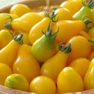 5000 Seeds Tomato Seeds, Yellow Pear, Non-Gmo Heirloom Yellow Tomato edlcy (1/2 oz Seeds) 5000 Seeds Tomato Seeds, Yellow Pear, Non-Gmo Heirloom Yellow Tomato edlcy (1/2 oz Seeds)