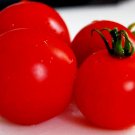 20,000 Seeds Tomato Seed, Organic Cherry, Non-Gmo Heirloom Tomatoes, For Salads edlcy (2 oz Seeds) 20,000 Seeds Tomato Seed, Organic Cherry, Non-Gmo Heirloom Tomatoes, For Salads edlcy (2 oz Seeds)