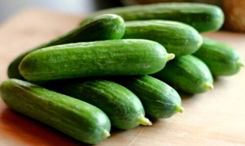 2000 Seeds Cucumber Seeds, Spacemaster 80, Non-Gmo Heirloom, Dwarf Cucumbers edlcy (2 oz Seeds)