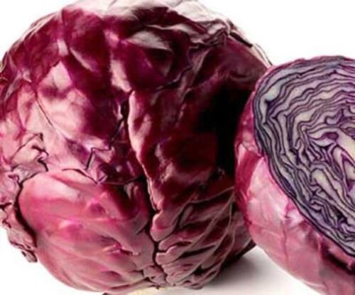 1000 Seeds Red Cabbage Seeds, Red Acre, Heirloom Cabbage Seeds, Bulk Cabbages edlcy (Seeds)