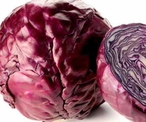 3500 Seeds Red Cabbage Seeds, Red Acre, Heirloom Cabbage Seeds, Bulk edlcy (1/2 oz Seeds)