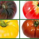 4 Pack of Seeds Brandywine Tomato Seeds, Brandywine Tomatoes edlcy (Each pack 100 Seeds)