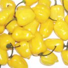 50 Seeds Yellow Habanero Seeds, Habanero Pepper Seeds, Heirloom Hot Peppers, Non-Gmo edlcy (Seeds)