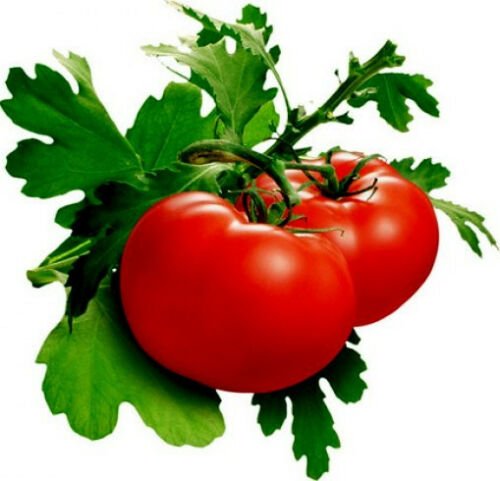5000 Seeds Tomato Seeds, Delicious, Non-Gmo Heirloom Seed, Huge Tomatoes edlcy (1/2 oz Seeds)