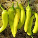 8000 Seeds Hungarian Hot Wax Pepper Seeds, Yellow Peppers, Heirloom edlcy (2 oz Seeds)