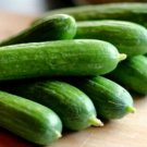 150 Seeds Cucumber Seeds, Spacemaster 80, Non-Gmo Heirloom Seeds, Dwarf Cucumbers edlcy (Seeds)