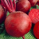 1200 Seeds Beet Seed, Detroit Dark Red, Bulk Seed, Heirloom Beet Seed, Non-Gmo edlcy (1 oz Seeds)