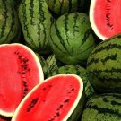 40 Seeds Watermelon Seeds, Jubilee, Heirloom Melon Seeds, Non-Gmo, Picnic Favorite edlcy (Seeds)