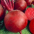 200 Seeds Beet Seeds, Detroit Dark Red, Heirloom Beet Seed, Non-Gmo Beets edlcy (Seeds)