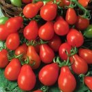 100 Seeds Red Pear Tomato Seeds, Non-Gmo Heirloom Tomatoes, Very Large Tasty Crops edlcy (Seeds) 100 Seeds Red Pear Tomato Seeds, Non-Gmo Heirloom Tomatoes, Very Large Tasty Crops edlcy (Seeds)