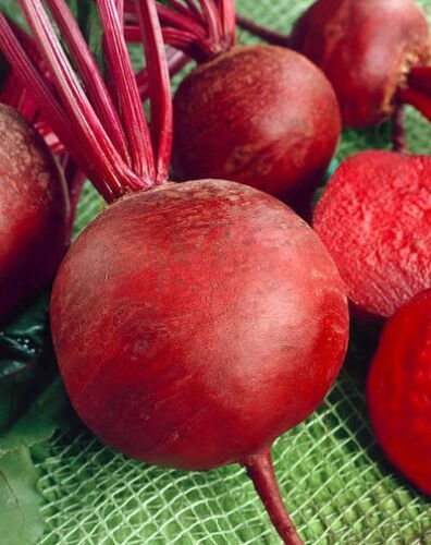 1000 Seeds Beet Seeds, Detroit Dark Red, Bulk Seed, Heirloom Beet Seed, Non-Gmo Beets edlcy (Seeds)