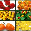 6 Pack of Seeds Hot Pepper "Hot For Hotter Peppers" Heirloom, Non-Gmo edlcy (Each pack 50 Seeds)