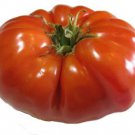 200 Seeds Tomato Seeds, Red Brandywine, Heirloom Non-Gmo Tomatoes, Big Juicy Slicers edlcy (Seeds)