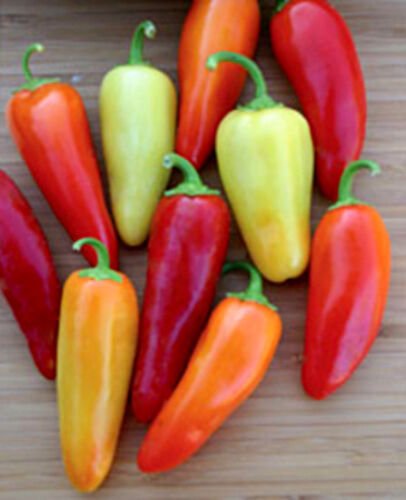200 Seeds Santa Fe Pepper Seeds, Heirloom Mild Pepper Seeds, Mild Peppers, Non-Gmo edlcy (Seeds)