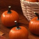 30 Seeds Pumpkin Seeds, Wee Bee Little, Mini Pumpkin, Heirloom Pumpkin Seed, Non-Gmo edlcy (Seeds)