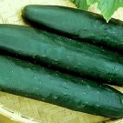 150 Seeds Cucumber Seeds, Straight 8, Non-Gmo Heirloom Seeds, Best for Eating Fresh edlcy (Seeds)