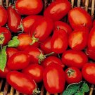 100 Seeds Tomato Seeds, Roma VF, Non-Gmo Heirloom Tomato Seeds, For Italian Sauces edlcy (Seeds)