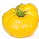 100 Seeds Tomato Seeds, Yellow Brandywine, Yellow Tomatoes, Heirloom Non-Gmo Tomatoes edlcy (Seeds)