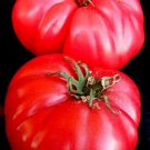 100 Seeds Tomato Seed, Moscow Vr, Heirloom Nongmo Tomatoes, Old Fashioned Sweet Taste edlcy (Seeds)