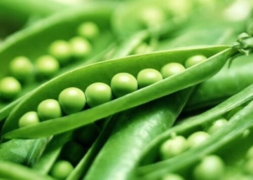 150 Seeds Green Pea Seeds, Super Sugar Snap, Non-Gmo, Heirloom Peas, Fall Or Spring edlcy (Seeds)