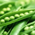 150 Seeds Green Pea Seeds, Super Sugar Snap, Non-Gmo, Heirloom Peas, Fall Or Spring edlcy (Seeds)