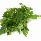 200 Seeds Parsley Seeds, Italian Giant Flat Leaf, Heirloom Herbs, Non-Gmo Spice edlcy (Seeds)