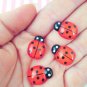 Cute Domed Ladybug Cabochons, Perfect for Spring jocad (10 Pieces)
