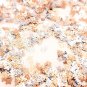 Tiny 6mm Silver Toned Metallic Butterfly, Kawaii Nail Butterfly Cabs jocad (50 Pieces)