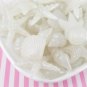 Glow In The Dark Translucent White Seashell Cabochons, Beach Themed Cabochons jocad (6 Pieces)