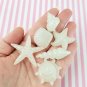 Glow In The Dark Translucent White Seashell Cabochons, Beach Themed Cabochons jocad (6 Pieces)