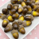 Fake Realistic Decorative Acorns, DIY Supplies For Crafts, Wreaths jocad (6 Pieces) Fake Realistic Decorative Acorns, DIY Supplies For Crafts, Wreaths jocad (6 Pieces)