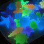 Glow In The Dark Seashell Cabochons, Beach Themed Cabochons jocad (6 Pieces)