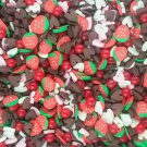 STRAWBERRY BON BON, Faux Mix, Polymer Clay Fake Sprinkles jocad (Container: Approx. 3-5 Grams) STRAWBERRY BON BON, Faux Mix, Polymer Clay Fake Sprinkles jocad (Container: Approx. 3-5 Grams)