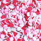 STRAWBERRY MILK Mix Pink and Red with Strawberry Polymer Clay Fake Sprinkles (Bag: 15 Grams)