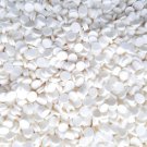 White Chocolate Chip Polymer Clay Round Confetti Circles (Bag: 15 Grams) White Chocolate Chip Polymer Clay Round Confetti Circles (Bag: 15 Grams)